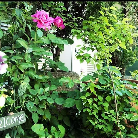 Grand Ambiance Ξενοδοχείο Κωνσταντινούπολη